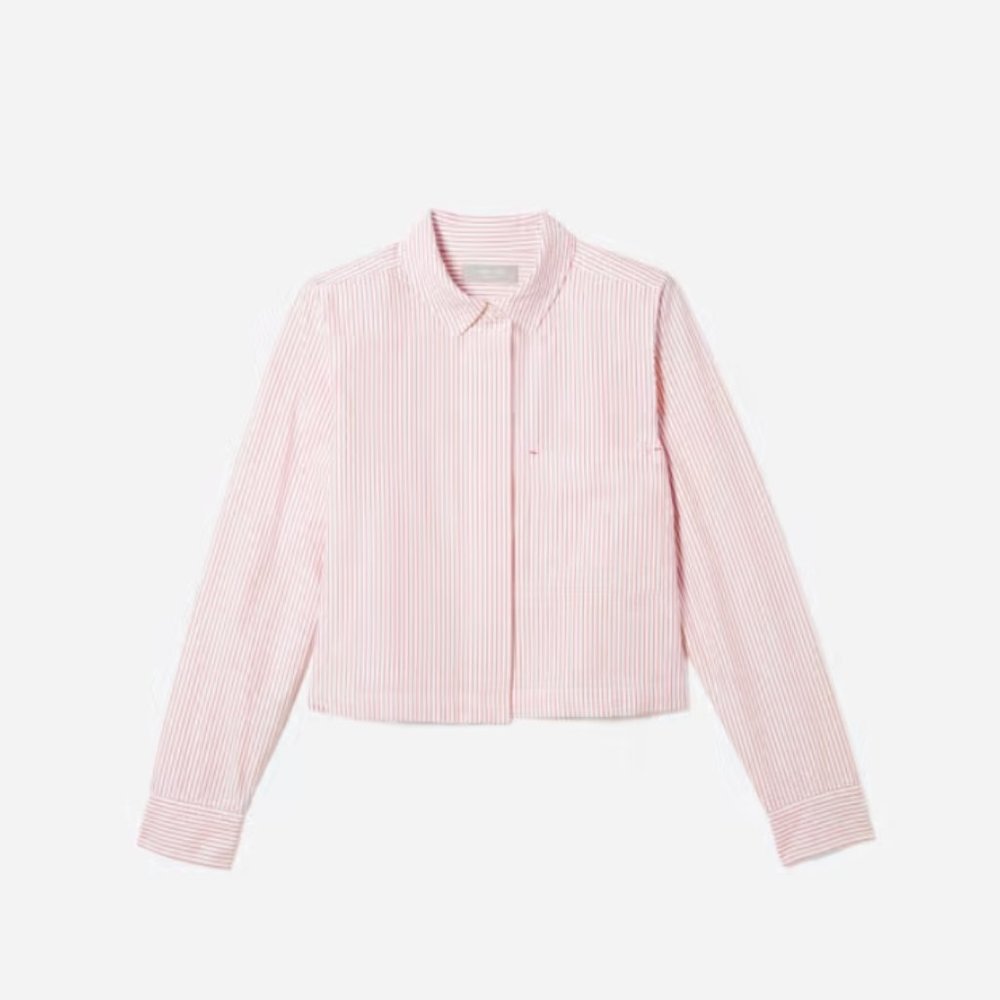 Everlane The Cropped Oxford